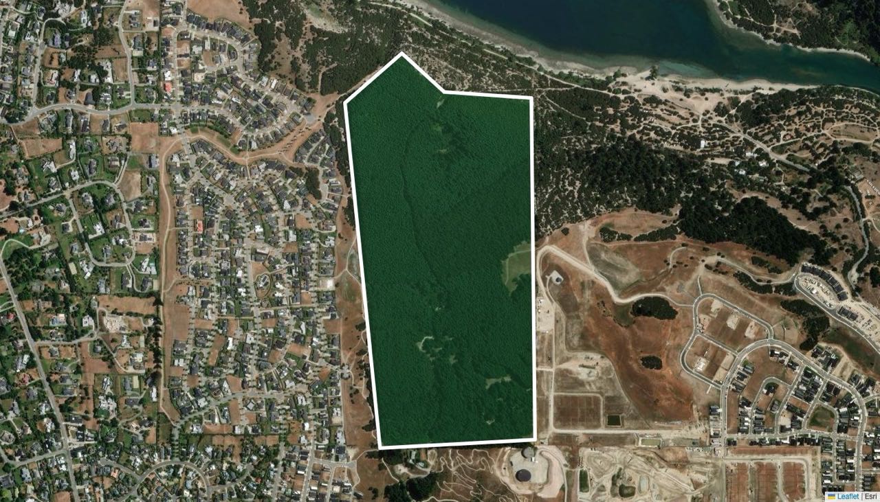 A 48.7 hectare forest block outlined in white on satellite imagery of Wānaka, Otago, between housing and the lake